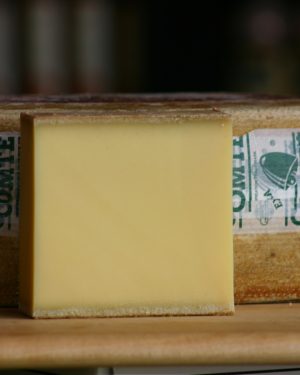 COMTE 12 MONTH