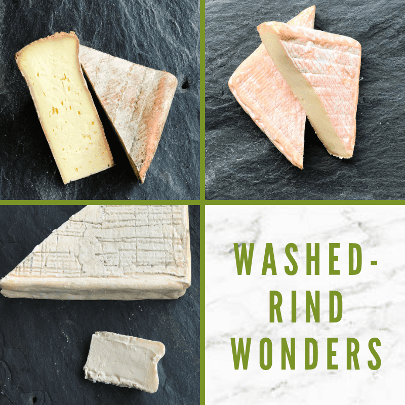 washed rind wonders - Tastings Gourmet Market