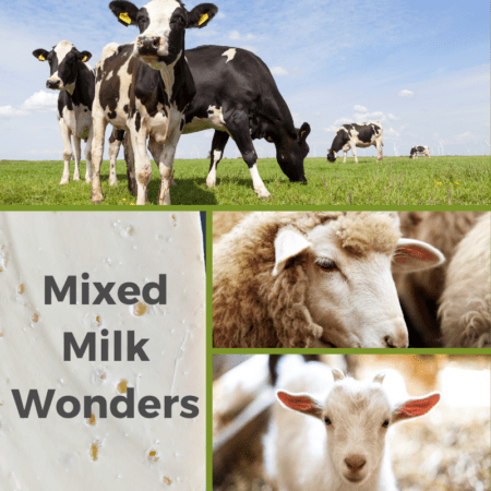 Mixed Milk Wonders
