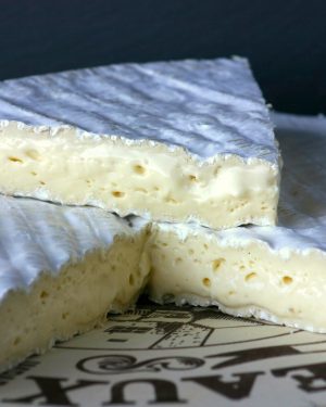 fromage de meaux