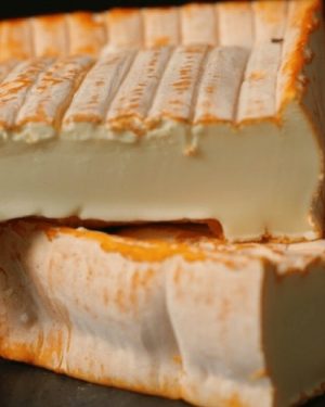 BREBIROUSSE D'ARGENTAL