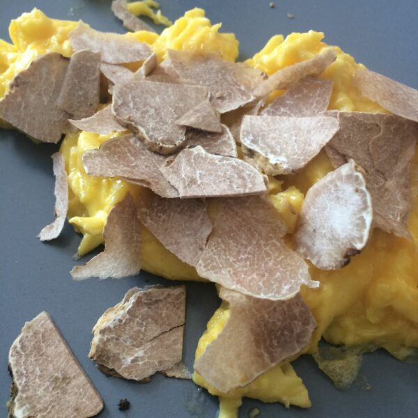 white truffle