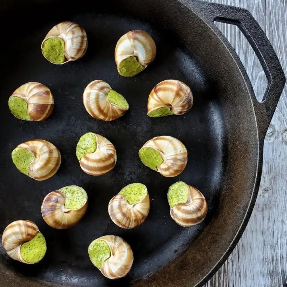 Escargot in Garlic Butter